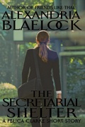 Cover: The Secretarial Shelter - BlueMere Books