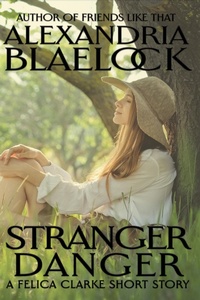 Enlarge image Cover: Stranger Danger - BlueMere Books