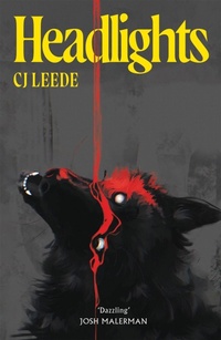 Enlarge image Cover: Headlights - Tor Nightfire