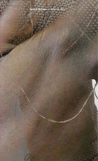 Enlarge image Cover: Sandra Mujinga. Skin to Skin. - König, Walther