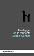 Cover: Heidegger en la tormenta - Melusina