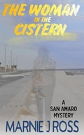 Cover: The Woman in the Cistern - Meerschaum Press