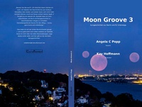 Enlarge image Cover: Moon Groove 3 - CulturTainment