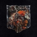 Cover: Death & Connection - SPV Schallplatten, Produktion und Vertrieb GmbH i.I. / Hannover