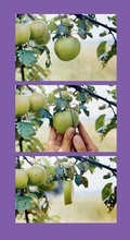 Cover: Helmut Schweizer: Handlungen / Actions - Spector Books
