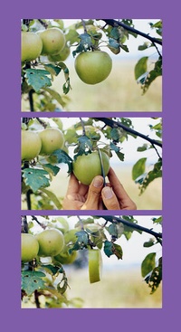 Enlarge image Cover: Helmut Schweizer: Handlungen / Actions - Spector Books