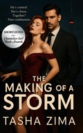 Cover: The Making of a Storm - Ashby Lake Publishing House