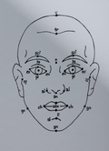 Cover: Megan Williams, Sheung Yiu: (Inter)Faces of Predictions - Spector Books