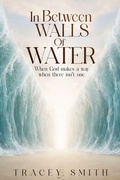 Cover: In Between Walls Of Water - All In His Hands Press