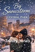 Cover: Big Snowstorm in Central Park (Love in the Big Apple, #29) - UroS Taks