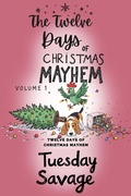 Cover: The Twelve Days of Christmas Mayhem - Trouble Twins Publishing