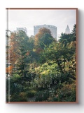 Cover: SENTIMENT INDEX Frankfurt Main - KRAUTin Verlag