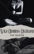 Cover: Wild Obsidian: Overload - Vic Raven