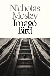 Enlarge image Cover: Imago Bird - Deep Vellum Publishing