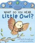 Cover: What Do You Hear, Little Owl? - Tiger Tales