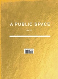 Cover: A Public Space No. 35 - Public Space