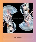 Cover: Splendor - Two Lines Press