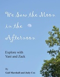 Cover: We Saw the Moon in the Afternoon - Palmetto Publishing