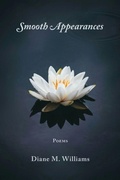 Cover: Smooth Appearances - LunaMoth Press