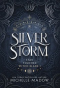Cover: Silver Storm - Dreamscape Publishing
