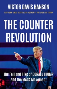 Enlarge image Cover: The Counterrevolution - Basic Books