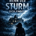 Cover: Wenn der Sturm dich findet - epubli