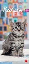 Bild: Whiskas Katzenleben Kalender 2027 - Heye