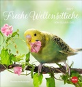 Bild: Freche Wellensittiche Postkartenkalender 2027 - Heye