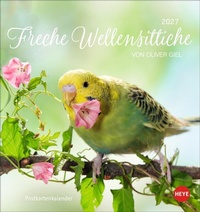 Bild vergrößern Bild: Freche Wellensittiche Postkartenkalender 2027 - Heye