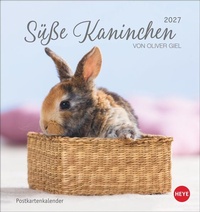 Enlarge image Cover: Süße Kaninchen Postkartenkalender 2027 - Heye