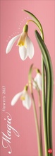 Cover: Magic Flowers Vertical Kalender 2027 - Heye