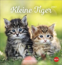 Bild vergrößern Bild: Katzen Postkartenkalender Kleine Tiger 2027 - Heye