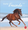 Cover: Pferde Postkartenkalender 2027 - Starke Freunde - Heye