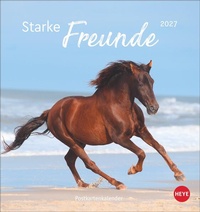 Enlarge image Cover: Pferde Postkartenkalender 2027 - Starke Freunde - Heye