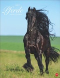 Cover: Pferde Classics Posterkalender 2027 - Heye