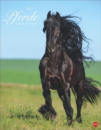 Enlarge image Cover: Pferde Classics Posterkalender 2027 - Heye