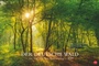 Bild: Der deutsche Wald - Ein literarischer Spaziergang Kalender 2027 - Ein literarischer Spaziergang - Heye