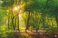 Bild: Der deutsche Wald - Ein literarischer Spaziergang Kalender 2027 - Ein literarischer Spaziergang - Heye