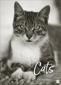 Bild vergrößern Bild: Cats Edition Kalender 2027 - Heye