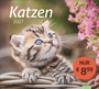 Bild: times&more Katzen Bildkalender 2027 - Heye