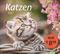 Bild vergrößern Bild: times&more Katzen Bildkalender 2027 - Heye