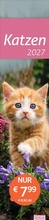 Bild: times&more Katzen Langplaner 2027 - Heye