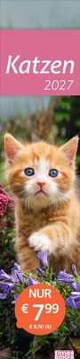 Bild vergrößern Bild: times&more Katzen Langplaner 2027 - Heye