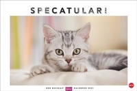Bild vergrößern Bild: Whiskas Katzenkalender 2027 - Heye