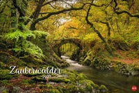 Bild vergrößern Bild: Zauberwälder Edition Kalender 2027 - Heye