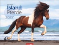 Cover: Islandpferde Kalender 2027 - Weingarten