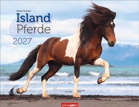 Enlarge image Cover: Islandpferde Kalender 2027 - Weingarten