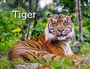 Cover: Tiger Kalender 2027 - Weingarten