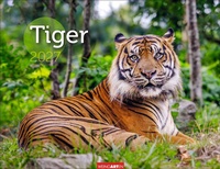 Enlarge image Cover: Tiger Kalender 2027 - Weingarten
