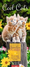 Cover: Cool Cats Familienplaner 2027 - Weingarten
